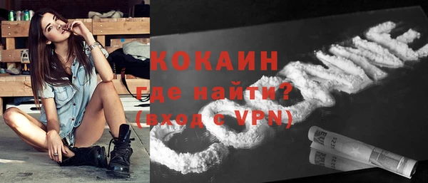 сатива Волоколамск