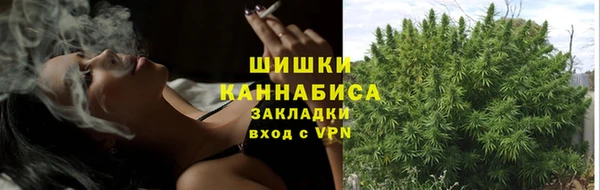 твердый Володарск