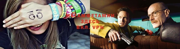 сатива Волоколамск