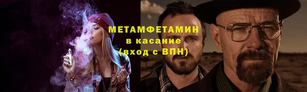 сатива Волоколамск