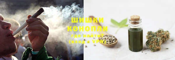 сатива Волоколамск