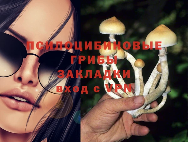 сатива Волоколамск