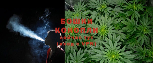 сатива Волоколамск