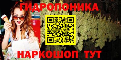 прущая мука Кандалакша