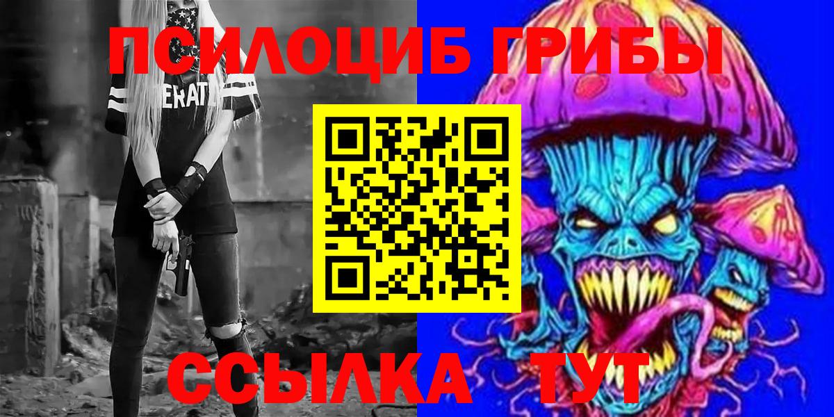Мариинск  Псилоцибиновые грибы Cubensis  Вход с VPN 