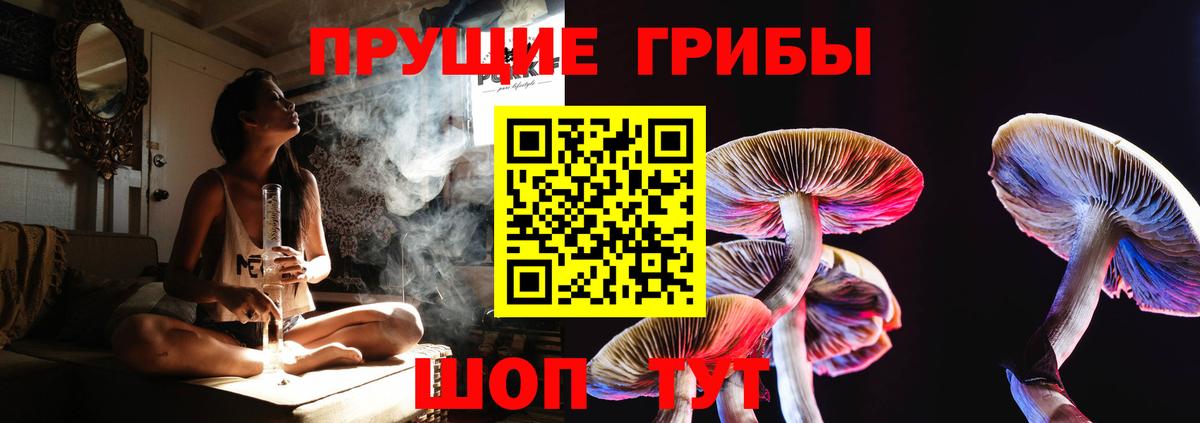 Галлюциногенные грибы ЛСД Мариинск